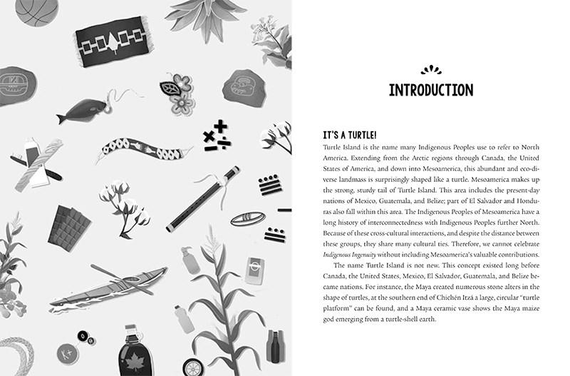 Indigenous Ingenuity - Image 2