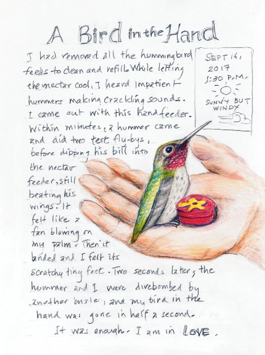 The Backyard Bird Chronicles - Image 3