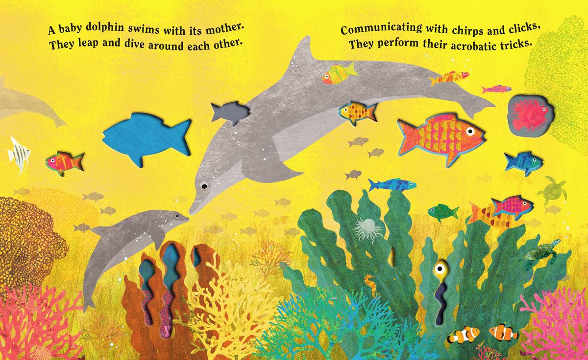 Ocean: A Peek-Through Board Book - Image 2