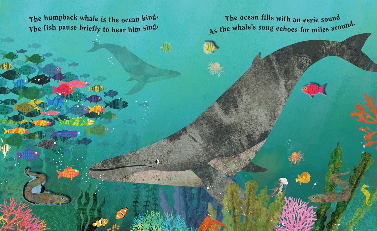 Ocean: A Peek-Through Board Book - Image 4
