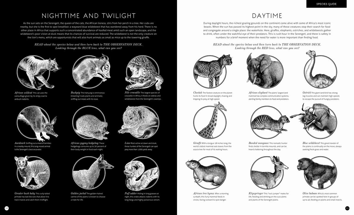 Illumipedia - Image 4