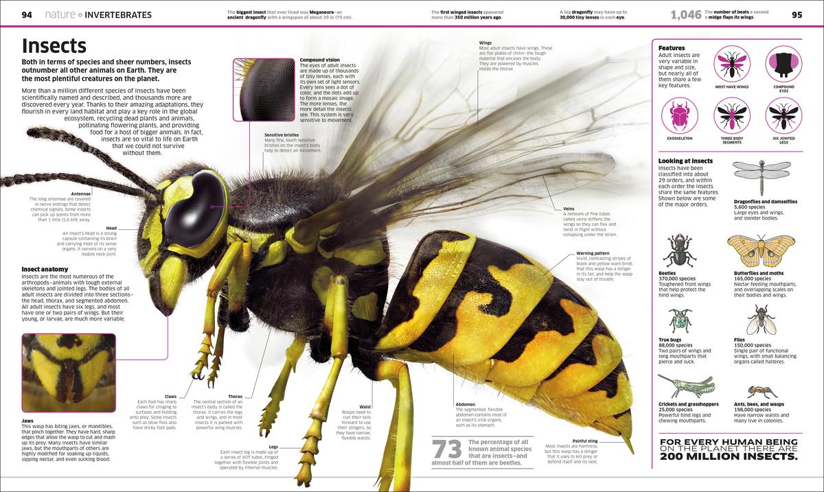 Knowledge Encyclopedia - Image 3