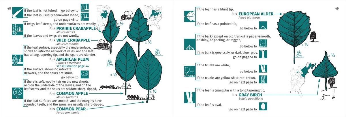Tree Finder - Image 2
