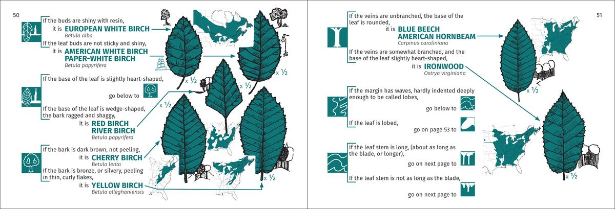 Tree Finder - Image 3