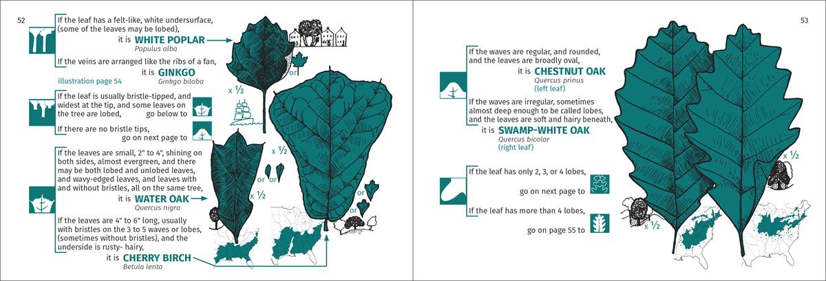 Tree Finder - Image 4