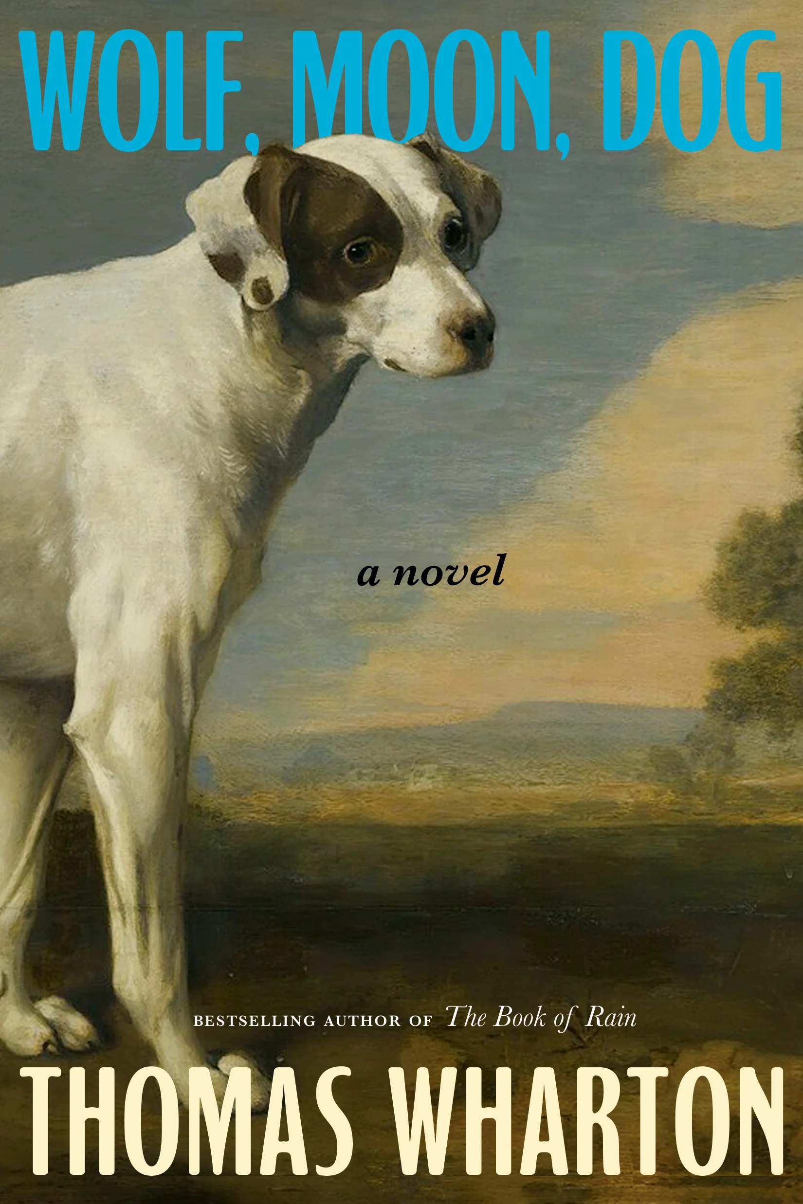 Wolf, Moon, Dog