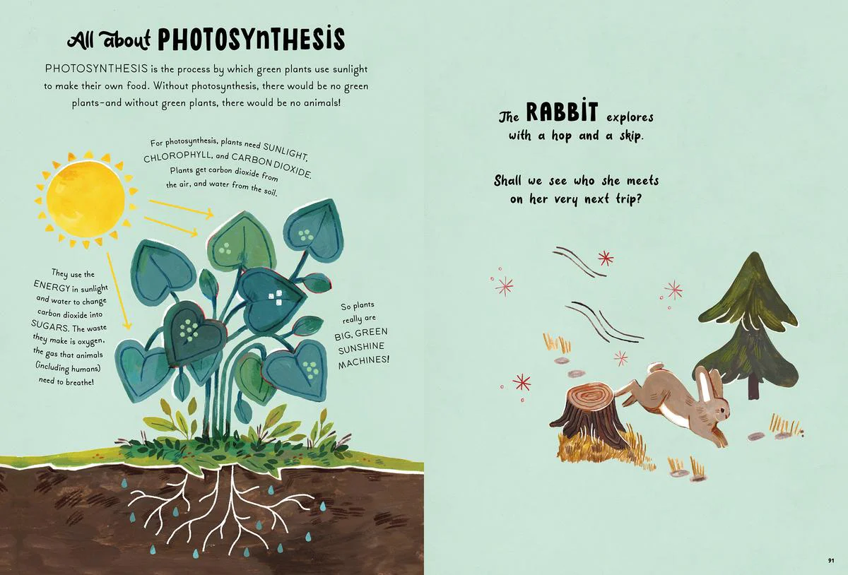5-Minute Nature Stories - Image 3
