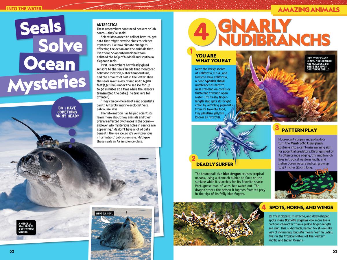 National Geographic Kids Almanac 2025 (Canadian Edition) - Image 3