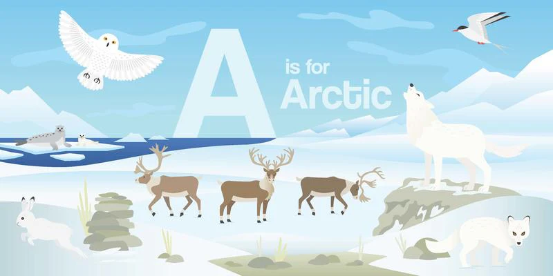 Canada ABC - Image 2