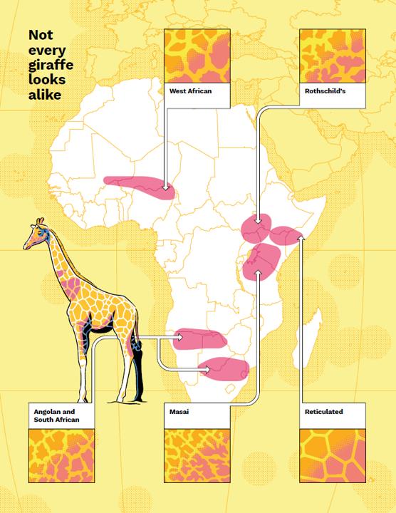 Wild Maps for Curious Minds - Image 3