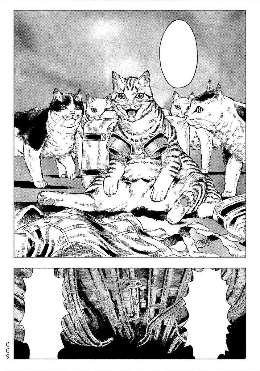 Night of the Living Cat Vol. 1 - Image 5
