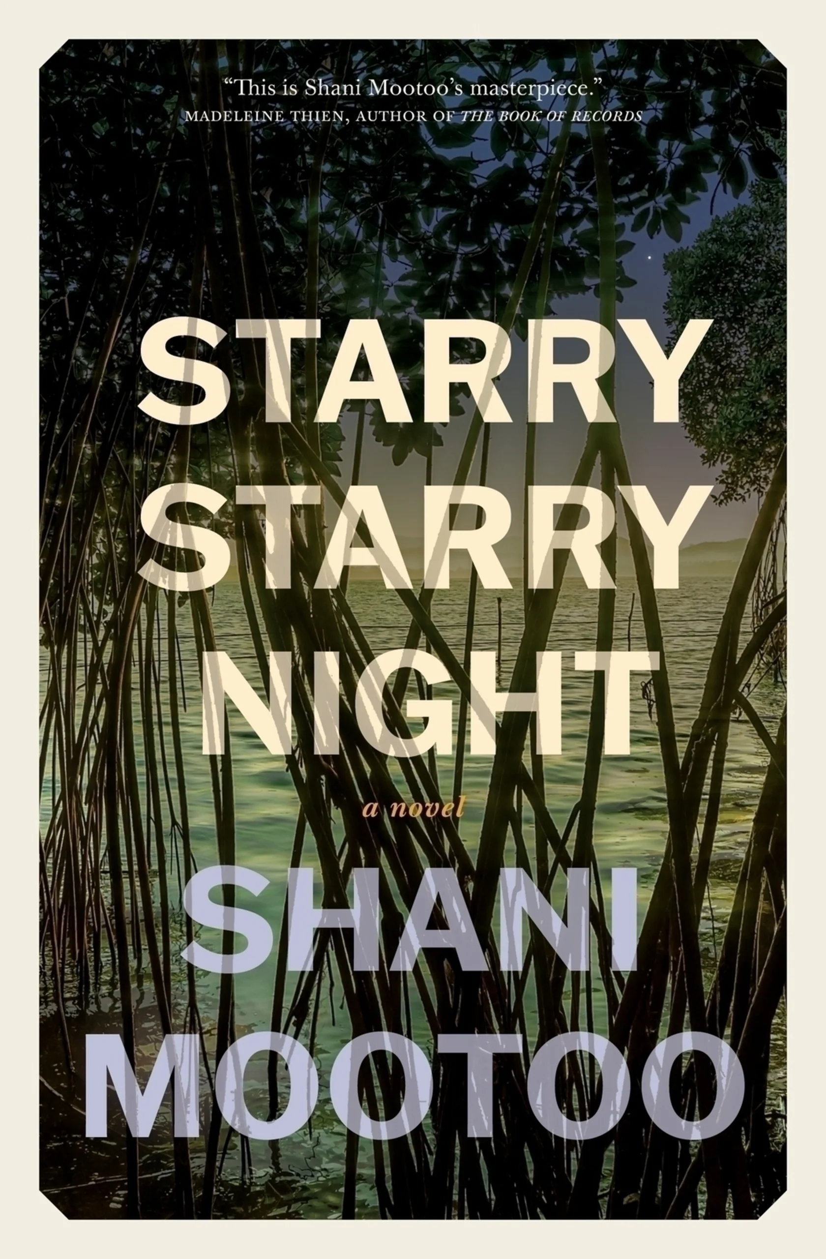 Starry Starry Night