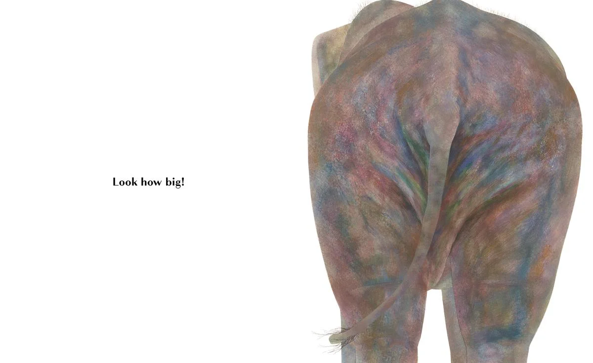 Animals Brag About Their Bottoms - Image 4
