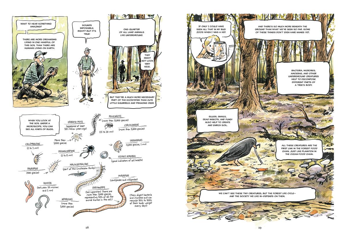 The Hidden Life of Trees: A Graphic Adaptation - Image 3