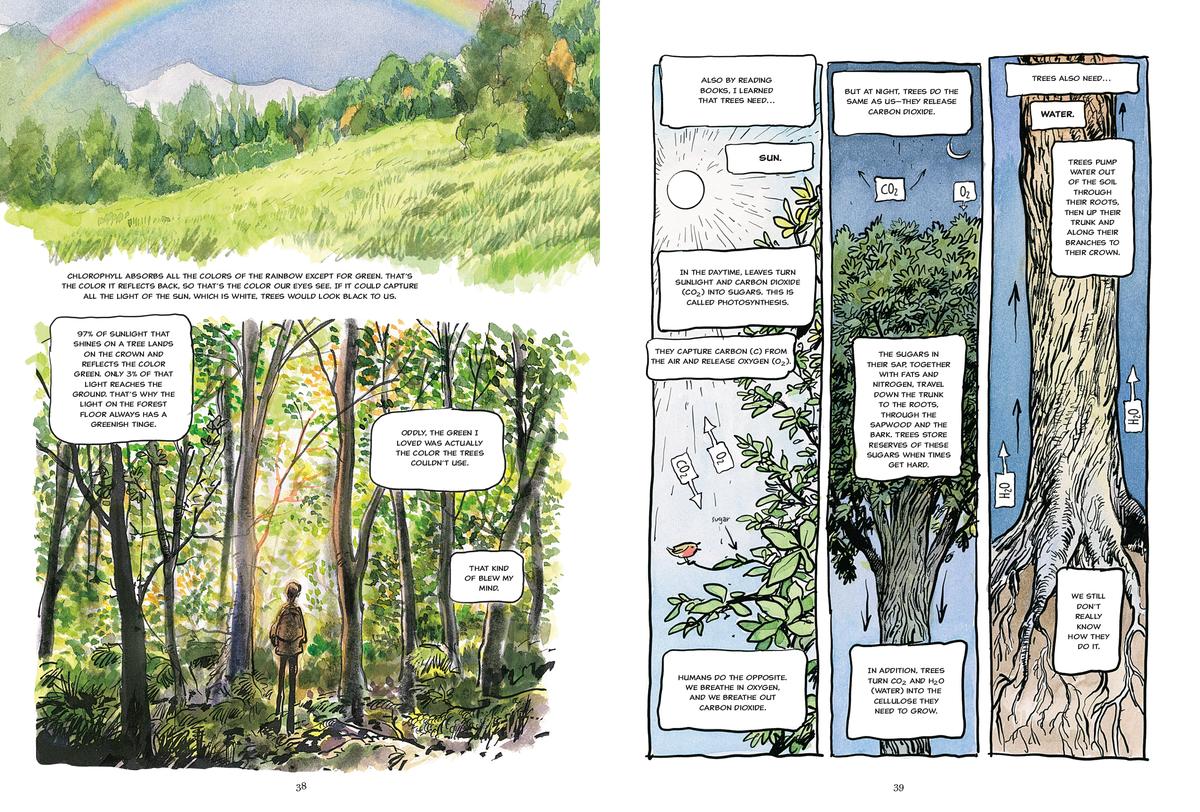 The Hidden Life of Trees: A Graphic Adaptation - Image 4