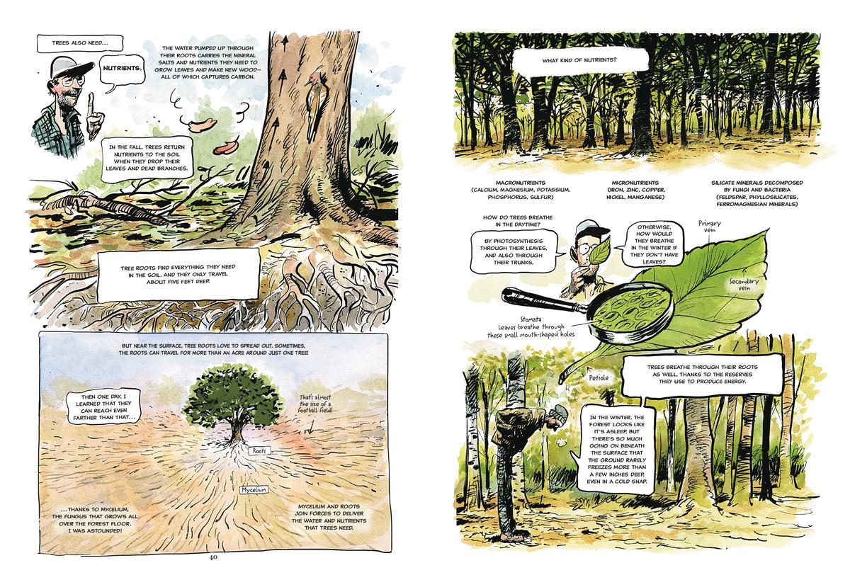 The Hidden Life of Trees: A Graphic Adaptation - Image 5