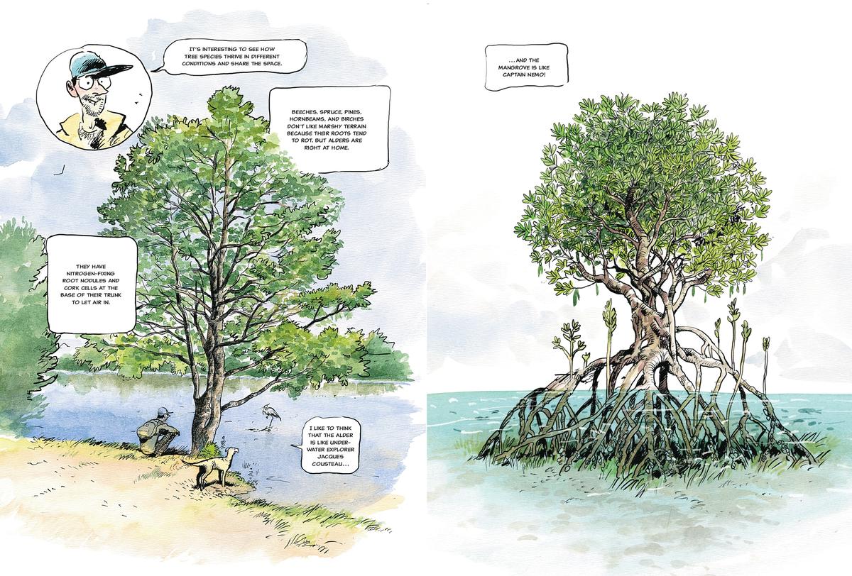 The Hidden Life of Trees: A Graphic Adaptation - Image 6