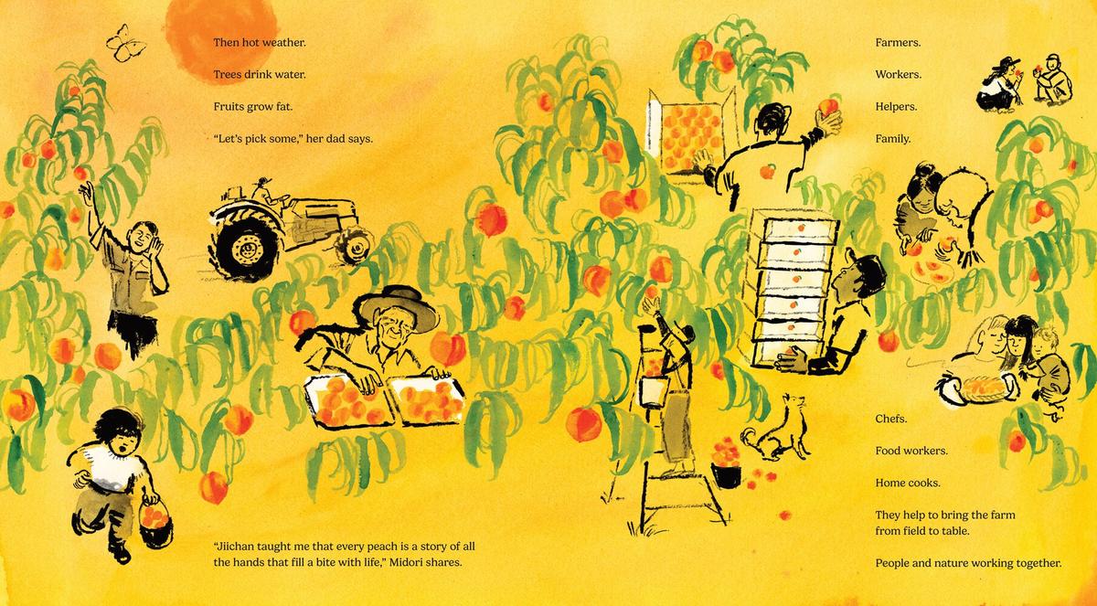 Every Peach Is A Story - Image 2