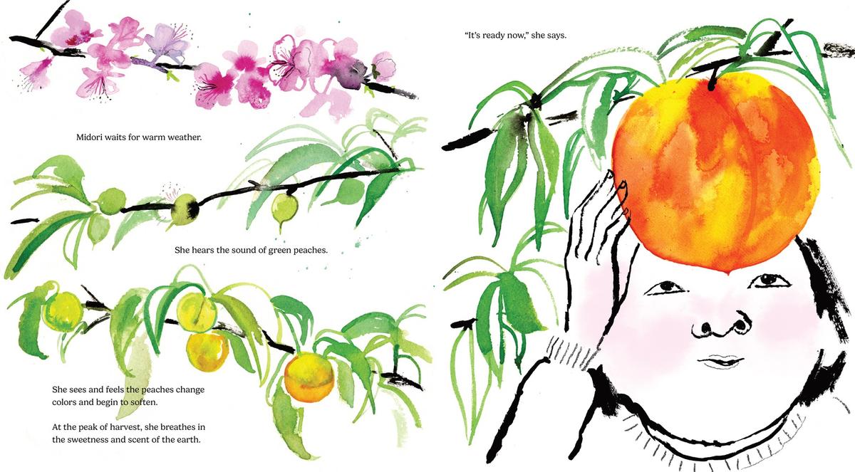 Every Peach Is A Story - Image 4