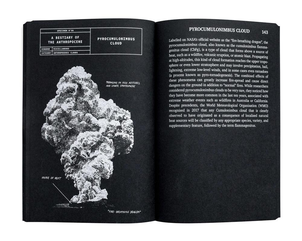 A Bestiary of the Anthropocene - Image 4