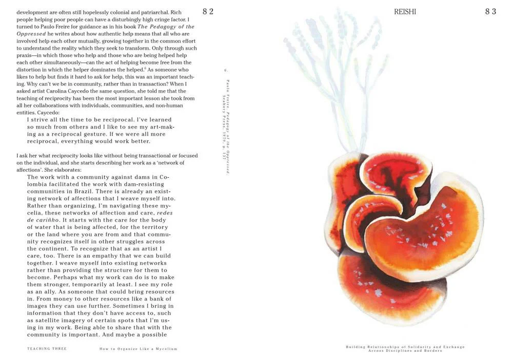Let's Become Fungal! - Image 2