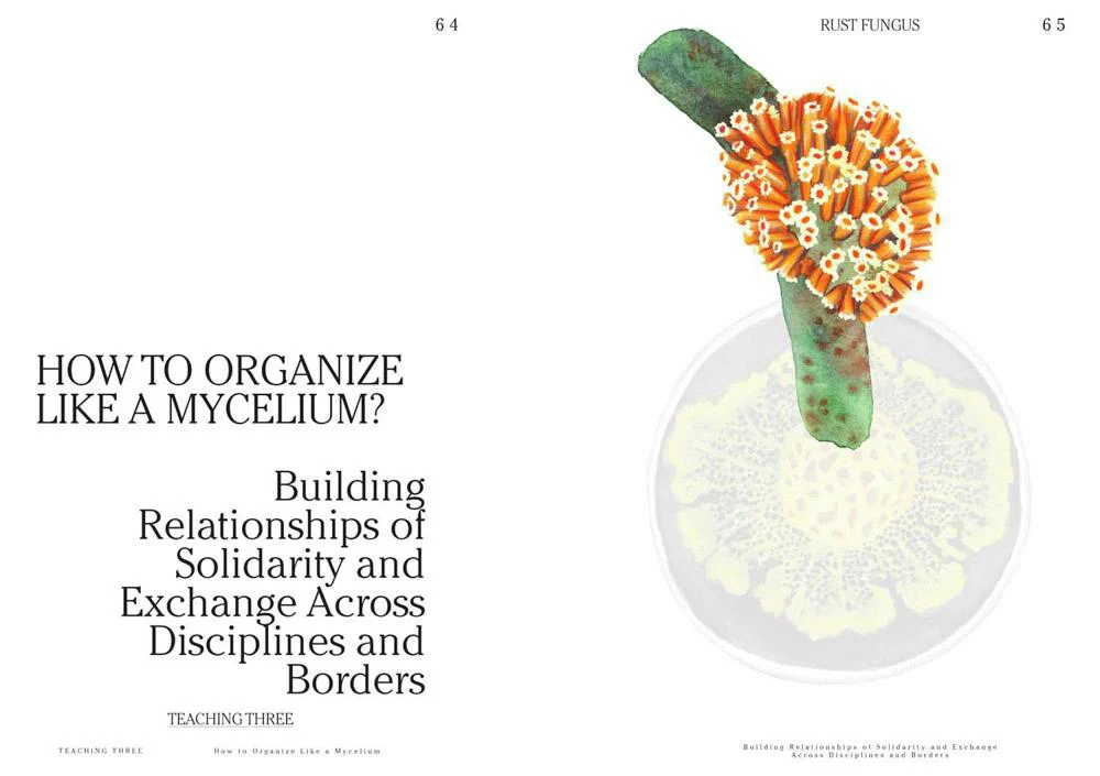 Let's Become Fungal! - Image 3