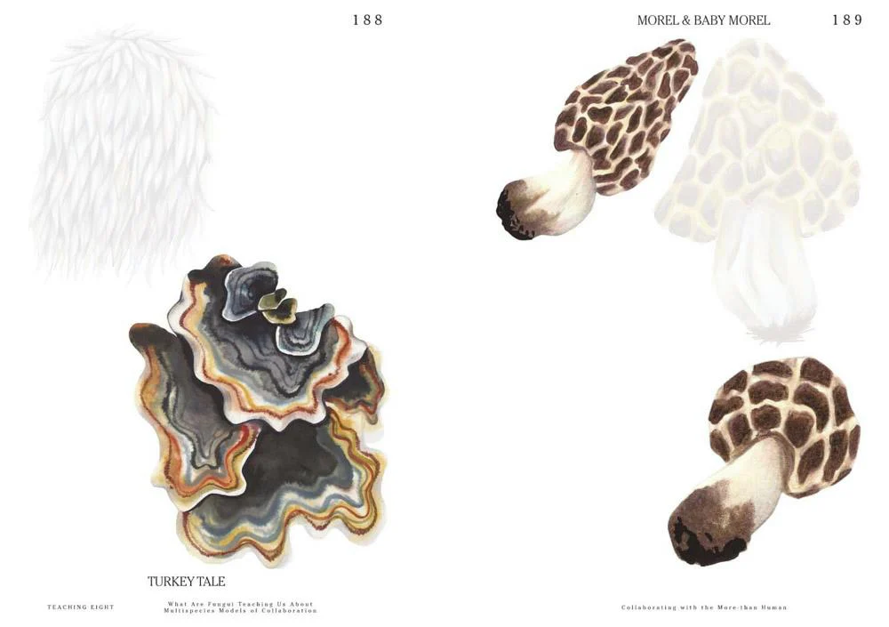 Let's Become Fungal! - Image 4