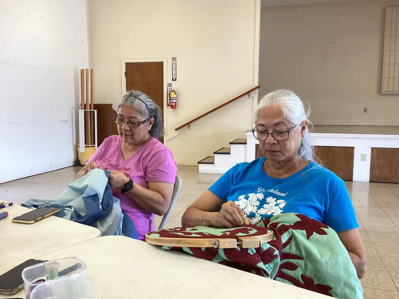 Mauka to Makai: Hawaiian Quilts and the Ecology of the Islands - Image 3