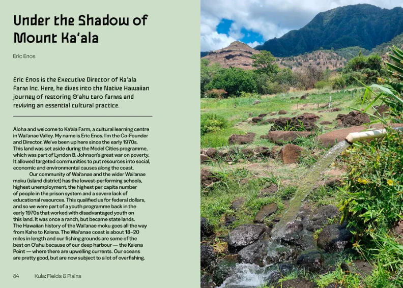 Mauka to Makai: Hawaiian Quilts and the Ecology of the Islands - Image 5