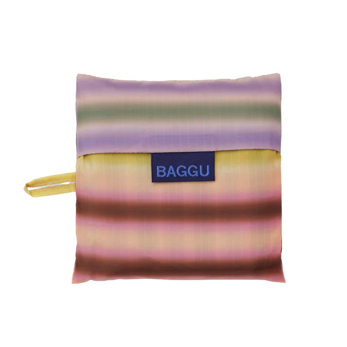 Standard Baggu: Gradient Stripe Multi - Image 3