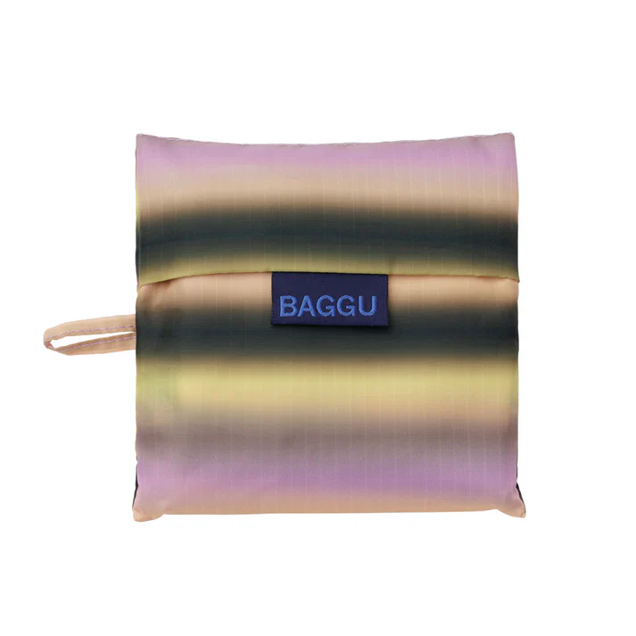 Standard Baggu: Gradient Stripe Pink & Yellow - Image 3