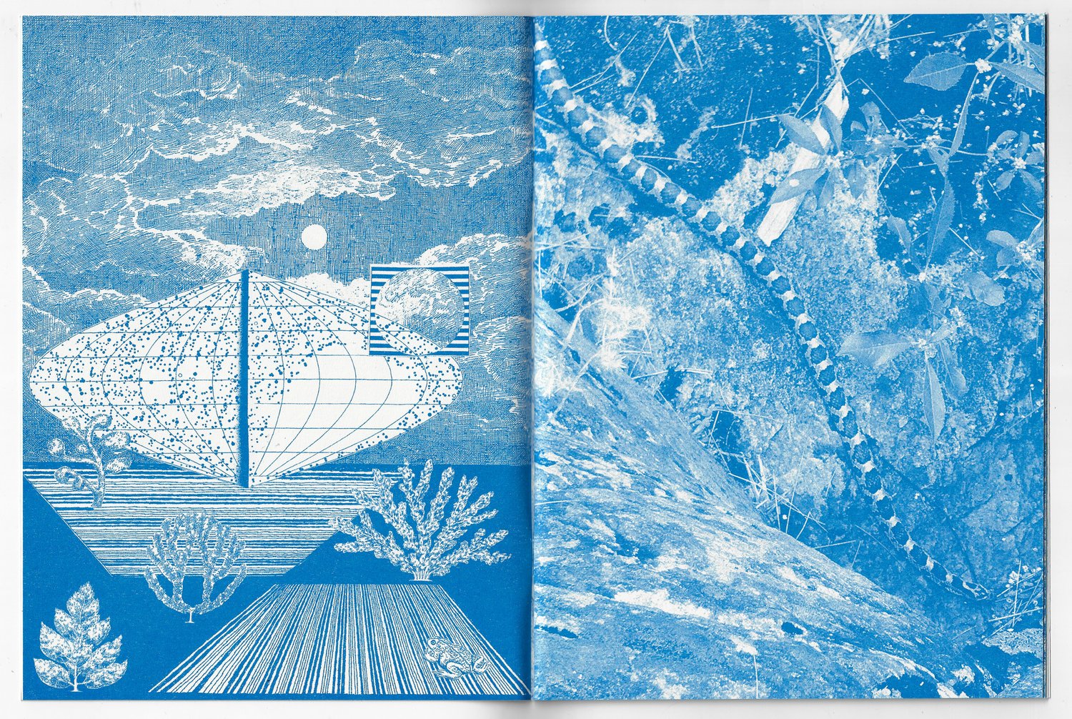 The Pattern - Image 2