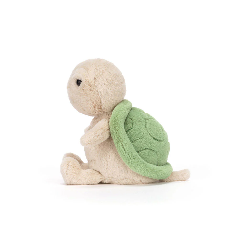 Thimble Turtle - Image 2