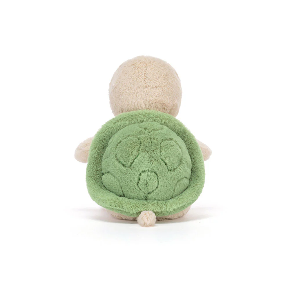 Thimble Turtle - Image 3